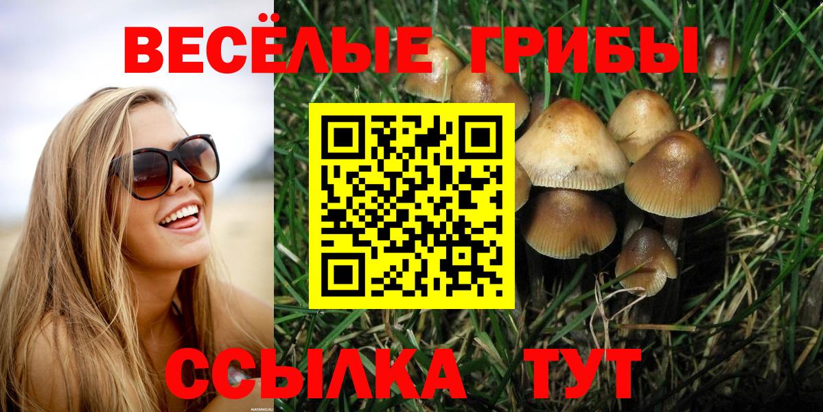 Галлюциногенные грибы Psilocybine cubensis Боровичи